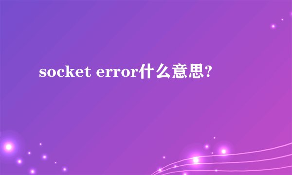 socket error什么意思?