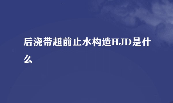 后浇带超前止水构造HJD是什么