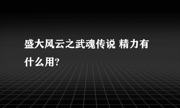 盛大风云之武魂传说 精力有什么用?