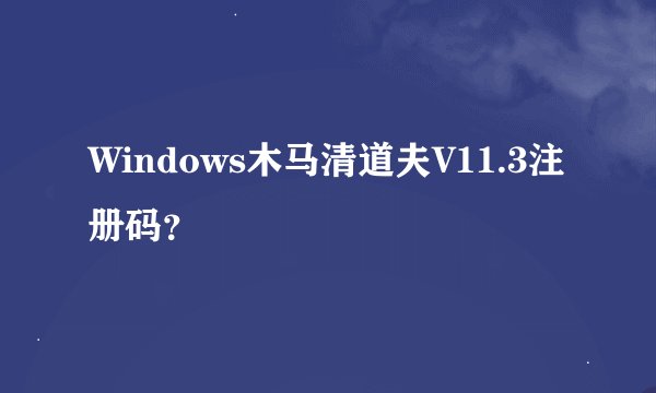 Windows木马清道夫V11.3注册码？