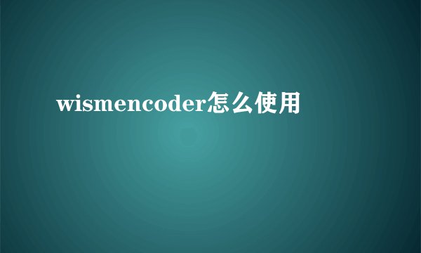 wismencoder怎么使用