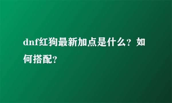 dnf红狗最新加点是什么？如何搭配？