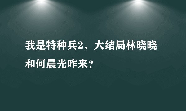 我是特种兵2，大结局林晓晓和何晨光咋来？