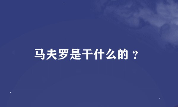 马夫罗是干什么的 ？