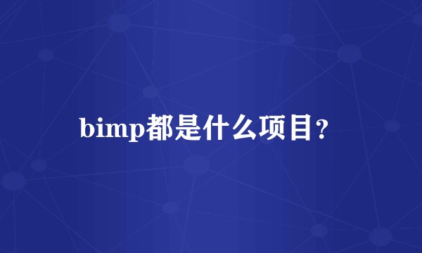 bimp都是什么项目？