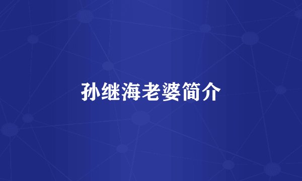 孙继海老婆简介