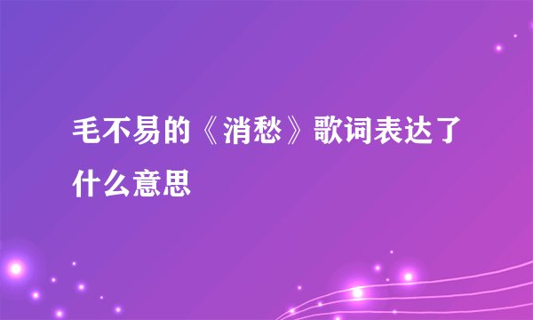 毛不易的《消愁》歌词表达了什么意思
