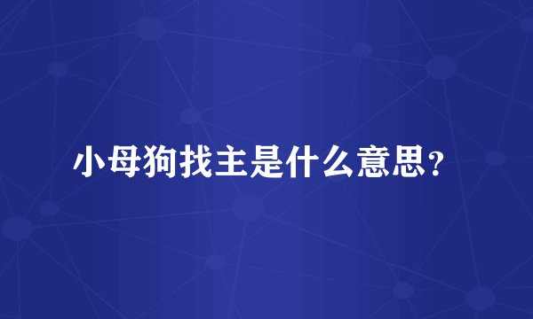 小母狗找主是什么意思？