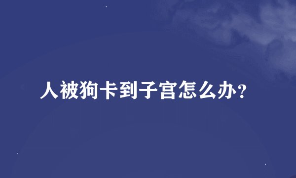 人被狗卡到子宫怎么办？