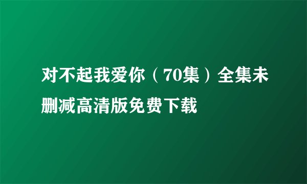 对不起我爱你（70集）全集未删减高清版免费下载