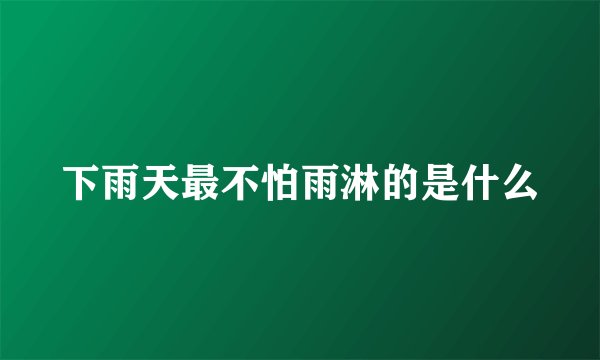 下雨天最不怕雨淋的是什么