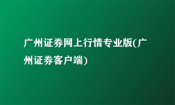 广州证券网上行情专业版(广州证券客户端)