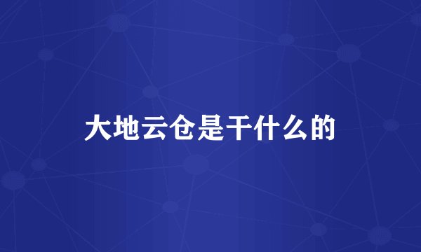 大地云仓是干什么的