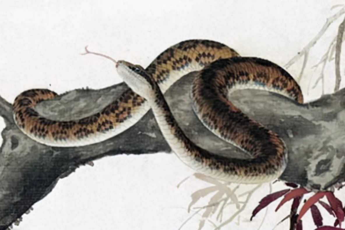 屹然挺立的屹是什么肖