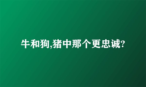 牛和狗,猪中那个更忠诚?