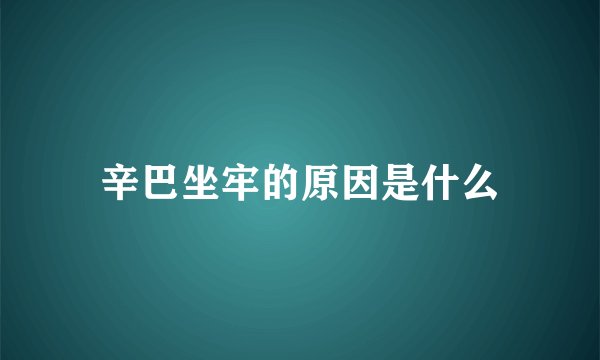 辛巴坐牢的原因是什么