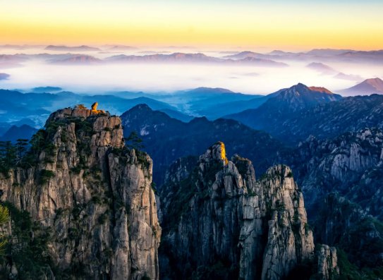 迎客松无客可迎黄山旅游业遭重创 具体原因是什么