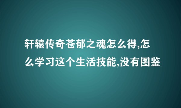 轩辕传奇苍郁之魂怎么得,怎么学习这个生活技能,没有图鉴