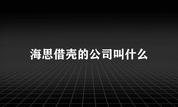 海思借壳的公司叫什么