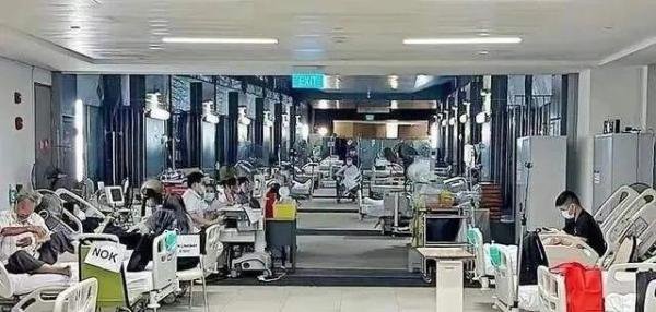 新冠又上热搜，现在简直是病毒大杂烩！新加坡重开“方舱”恢复每日疫情数据