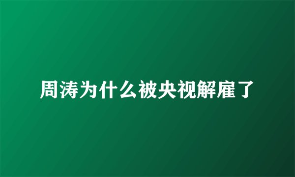 周涛为什么被央视解雇了