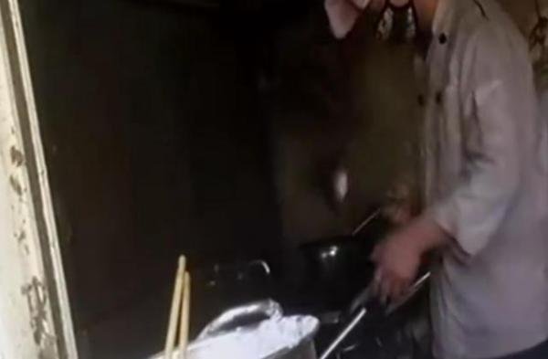 马云收购“饿了吗”，却被央视315曝出丑闻，感觉马云被坑