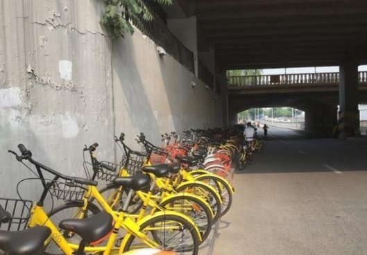 共享单车该如何管理？