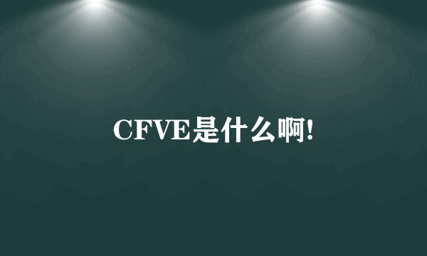 CFVE是什么啊!