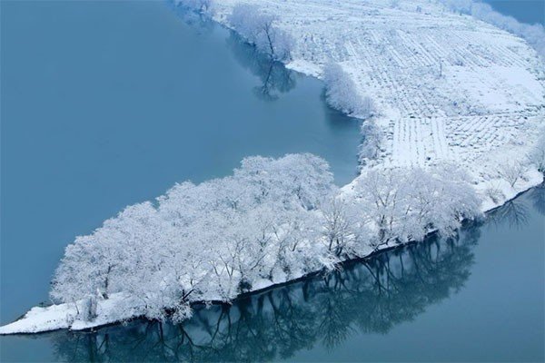 数九寒天是指什么动物？