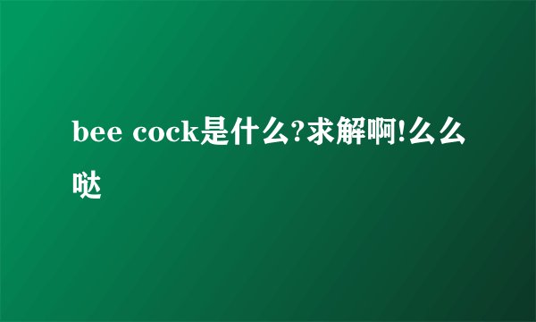 bee cock是什么?求解啊!么么哒
