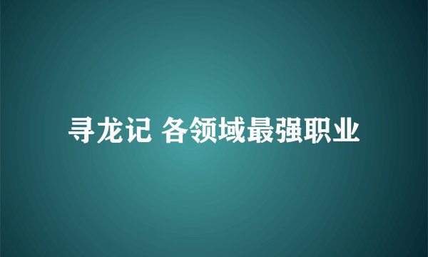 寻龙记 各领域最强职业