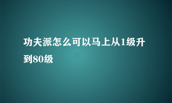 功夫派怎么可以马上从1级升到80级
