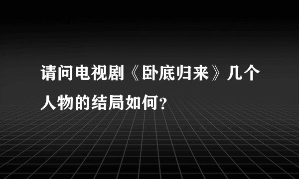 请问电视剧《卧底归来》几个人物的结局如何？