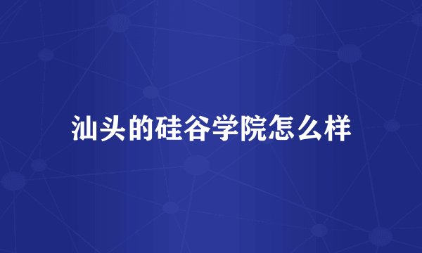 汕头的硅谷学院怎么样