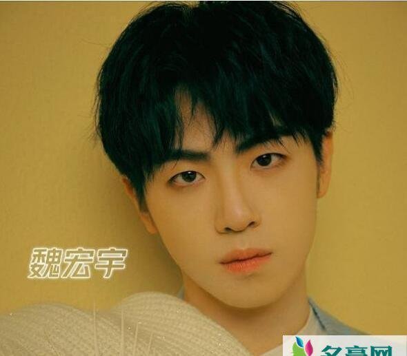 青春有你3魏宏宇退赛了吗？魏宏宇年龄个人资料