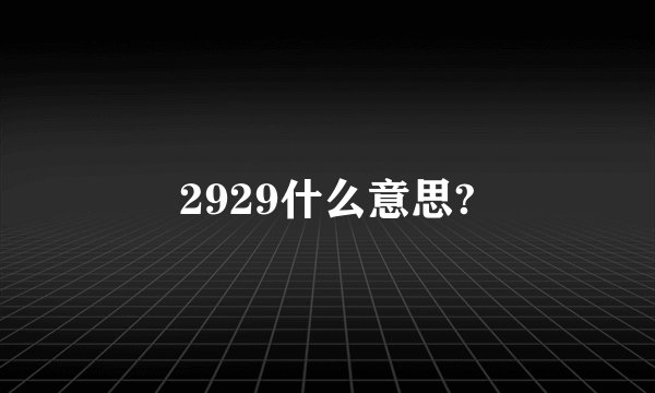 2929什么意思?