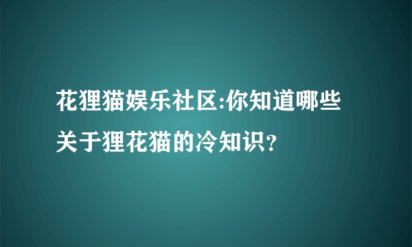 花狸猫娱乐社区:你知道哪些关于狸花猫的冷知识？