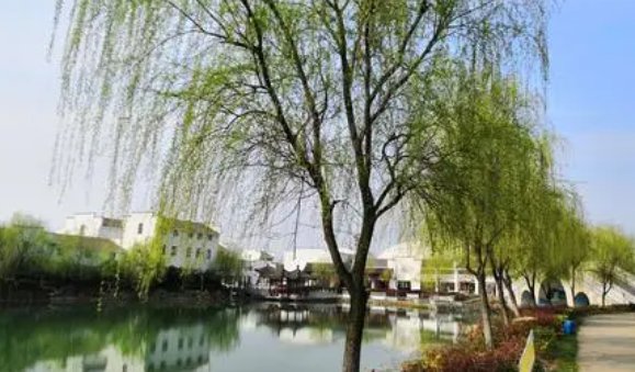 清风拂杨柳下一句暗号是什么?