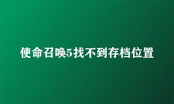 使命召唤5找不到存档位置
