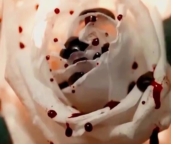 禁忌女孩为什么不喜欢花（不喜欢花原因是娜诺是撒旦的女儿）