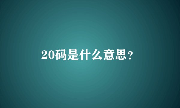 20码是什么意思？