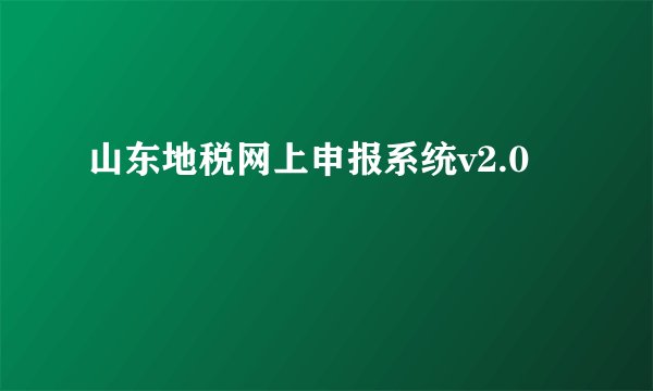 山东地税网上申报系统v2.0