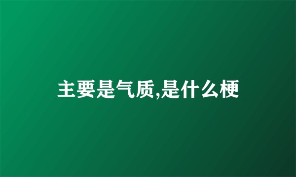 主要是气质,是什么梗