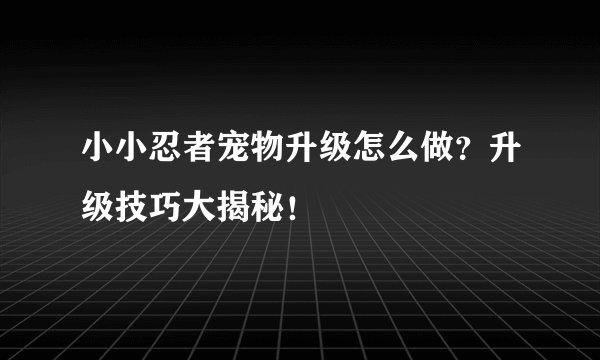 小小忍者宠物升级怎么做？升级技巧大揭秘！
