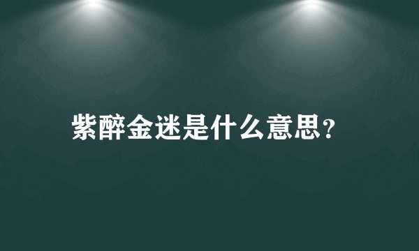 紫醉金迷是什么意思？
