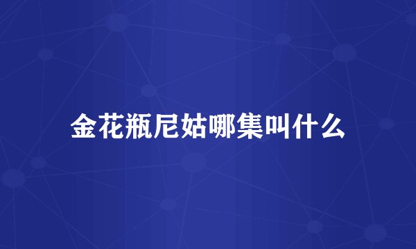 金花瓶尼姑哪集叫什么