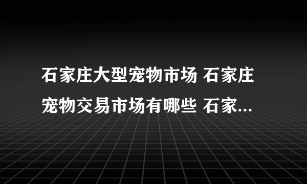石家庄大型宠物市场 石家庄宠物交易市场有哪些 石家庄宠物市场在什么地方
