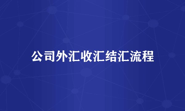 公司外汇收汇结汇流程