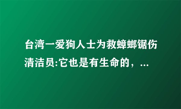 台湾一爱狗人士为救蟑螂锯伤清洁员:它也是有生命的，蟑螂和猫狗众生平等