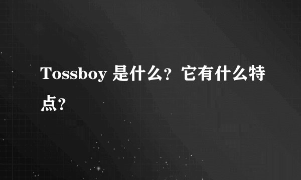 Tossboy 是什么？它有什么特点？